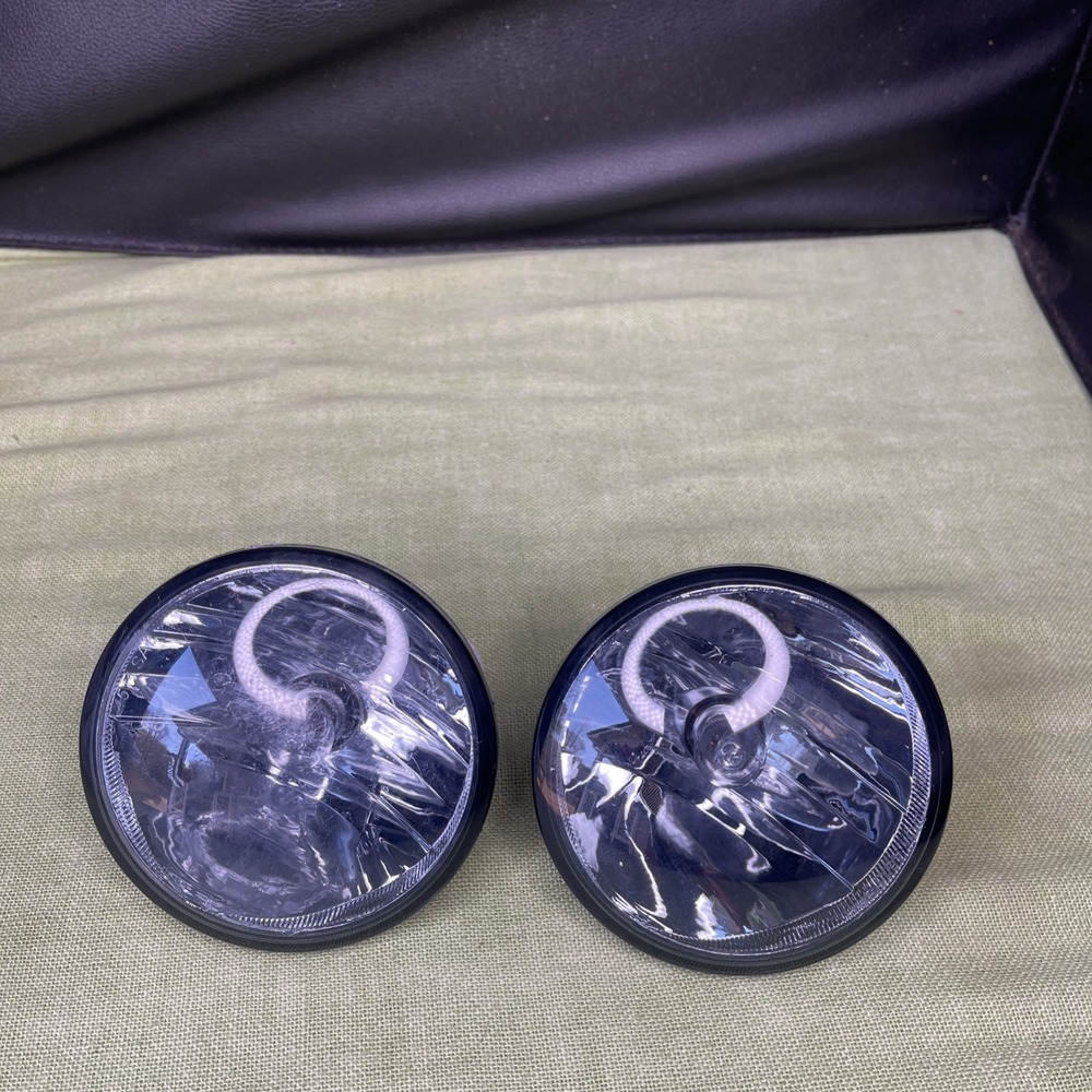 Pair Fog Lights GMC Envoy Chevy Trailblazer Buick Rainier GMT360 OEM w/Bulbs